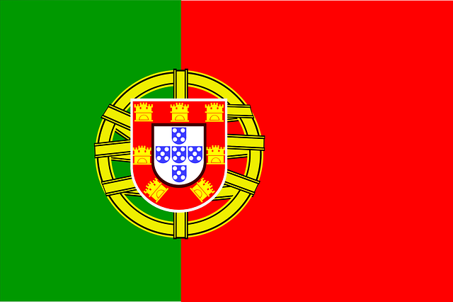 אזרחות פורטוגלית, דרכון פורטוגלי - דגל פורטוגל